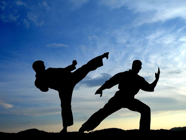 Artes Marciais, Wiki