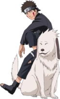 Kiba Inuzuka (41 KB) Kiba Inuzuka