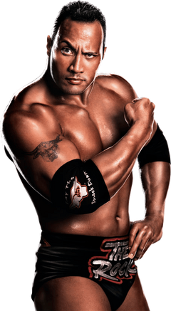 The Rock, Pro Wrestling