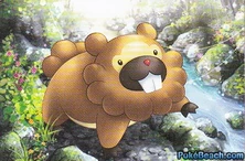Bidoof
