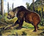 Cave Bear