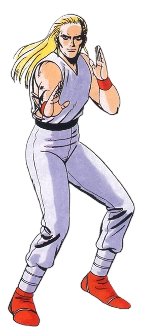 Terry Bogard, Fatal Fury Wiki