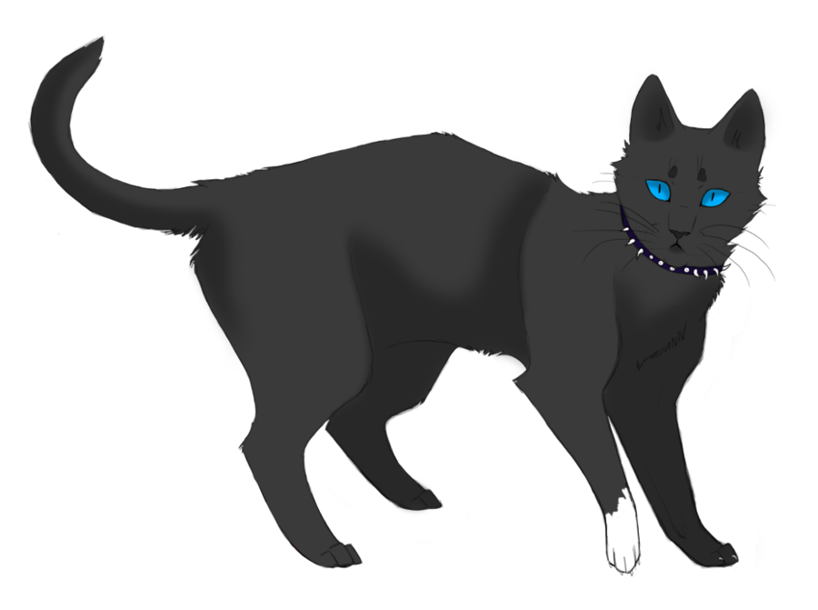 scourge from Warrior Cats