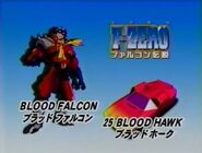 Eyecatch-bfalcon