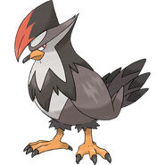 Staraptor, The Predator Pokémon.