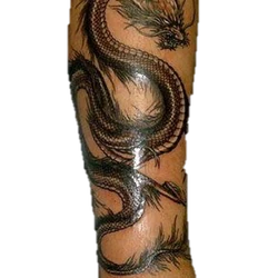 6 Nspvnmwpo9mm 6 Nspvnmwpo9mm