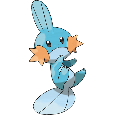 258Mudkip