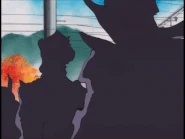 009aa159b610.gif (9.45 MB)