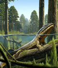 Acanthostega