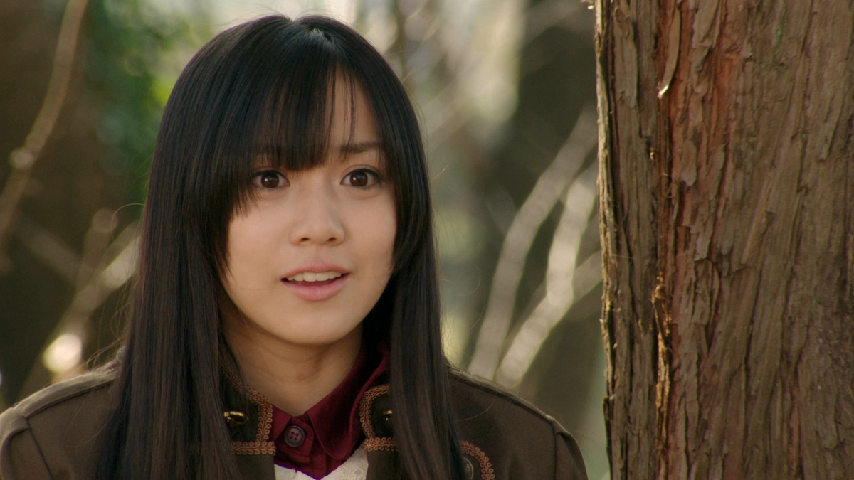 kamen rider wizard koyomi