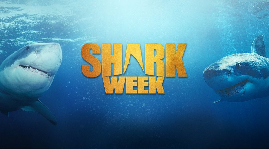 User blogHeadlessKramerGeoff777/Shark Week VS Battles Wiki Fandom