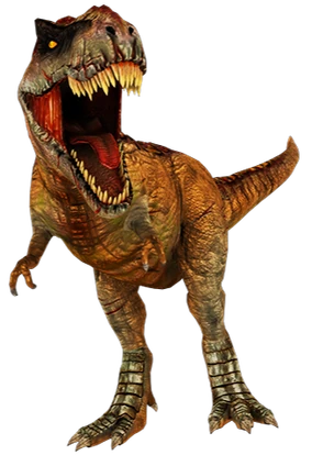 284?cb=20251001020147