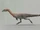 Coelophysis