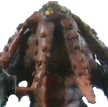 Shipdraw