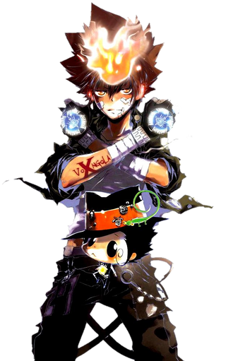 Tsunayoshi Sawada - Katekyo Hitman Reborn Wiki - Neoseeker