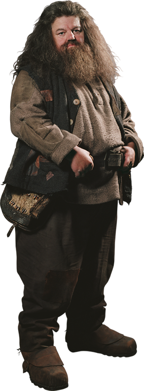 Rubeus Hagrid | VS Battles Wiki | Fandom