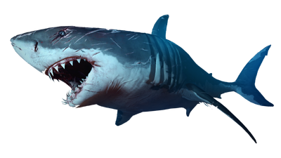 New & popular Flash games tagged shark 