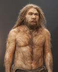 Homo neanderthalensis