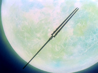 Spear of Longinus - Neon Genesis Evangelion - Zerochan Anime Image Board