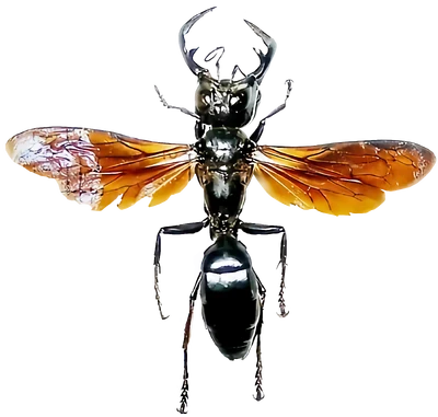 Megalara Garuda | VS Battles Wiki | Fandom
