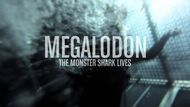 Megalodon