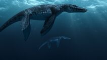 Pliosaurus