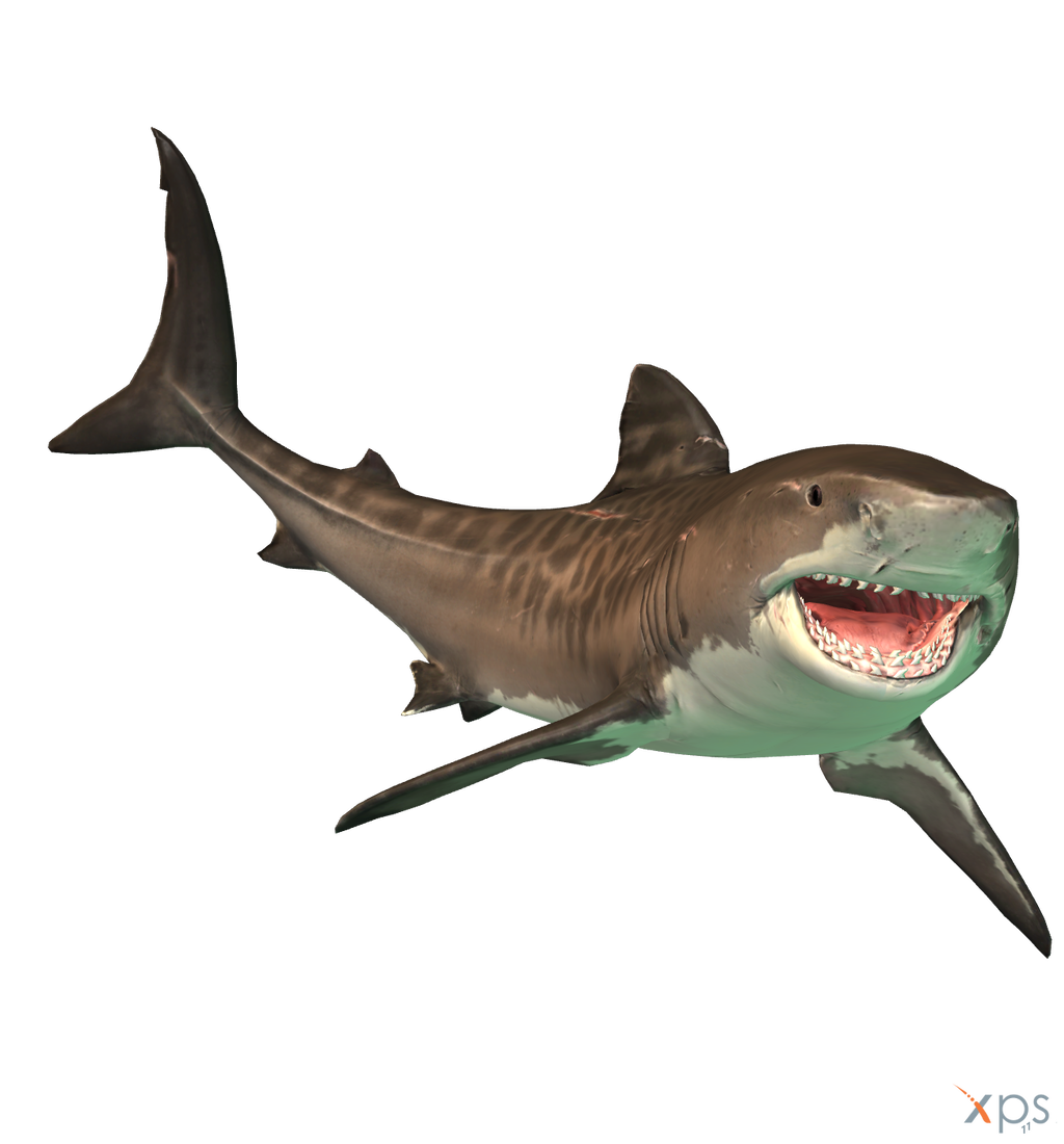 Tiger Shark (Depth), VS Battles Wiki