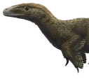 Utahraptor