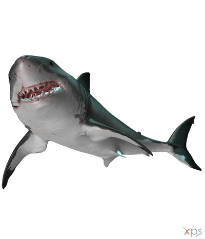 New & popular Flash games tagged shark 