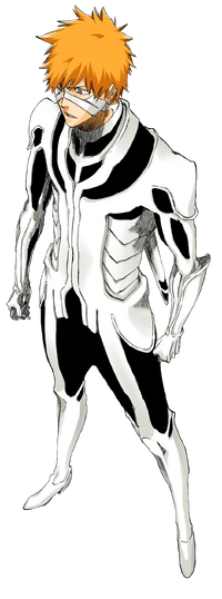 Ichigo's Full Fullbring Form – Bleach 358