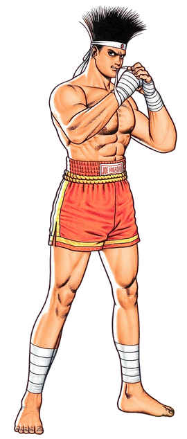 Fatal Fury/Joe — StrategyWiki  Strategy guide and game reference wiki