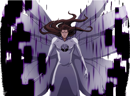 Aizo (Chrysalis) - Aizen (2nd Fusion Hōgyoku), Anime Adventures Wiki