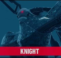 Knight