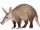 Aardvark