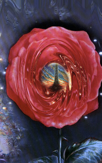 Rose66.jpg