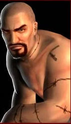 Streetfighting, The Def Jam Wrestling Wiki