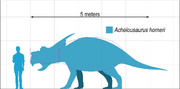 Achelousaurus Scale