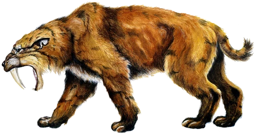 Smilodon | VS Battles Wiki | Fandom