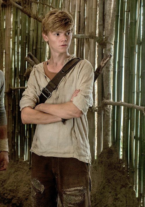 Newt, The Maze Runner Wiki