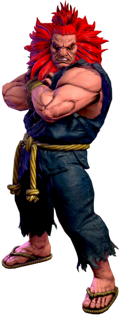 Akuma/Gouki, Wiki