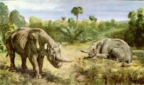 Arsinoitherium