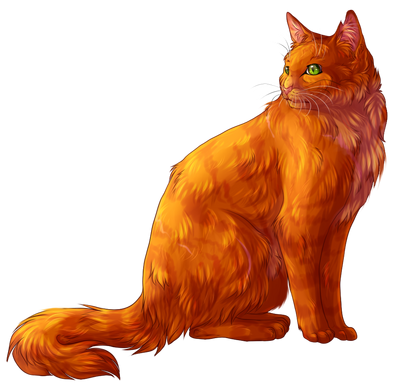 Firestar!!!!  Warrior cats art, Warrior cats books, Warrior cat