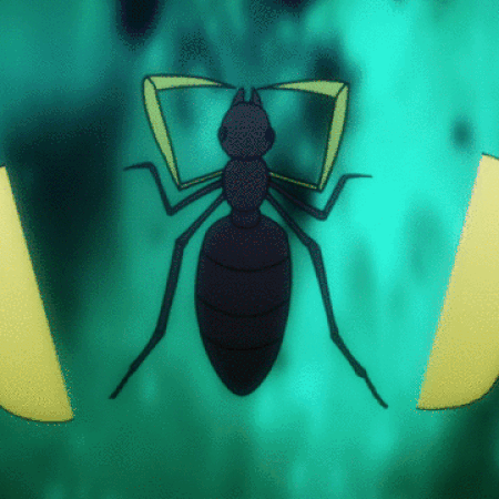 Chimera Ant Queen Vs Battles Wiki Fandom Also known as gourmet ants (グルメアント, gurume anto) due to carefully selecting their food, they have voracious appetites and can consume several times their own weight within a single day. chimera ant queen vs battles wiki