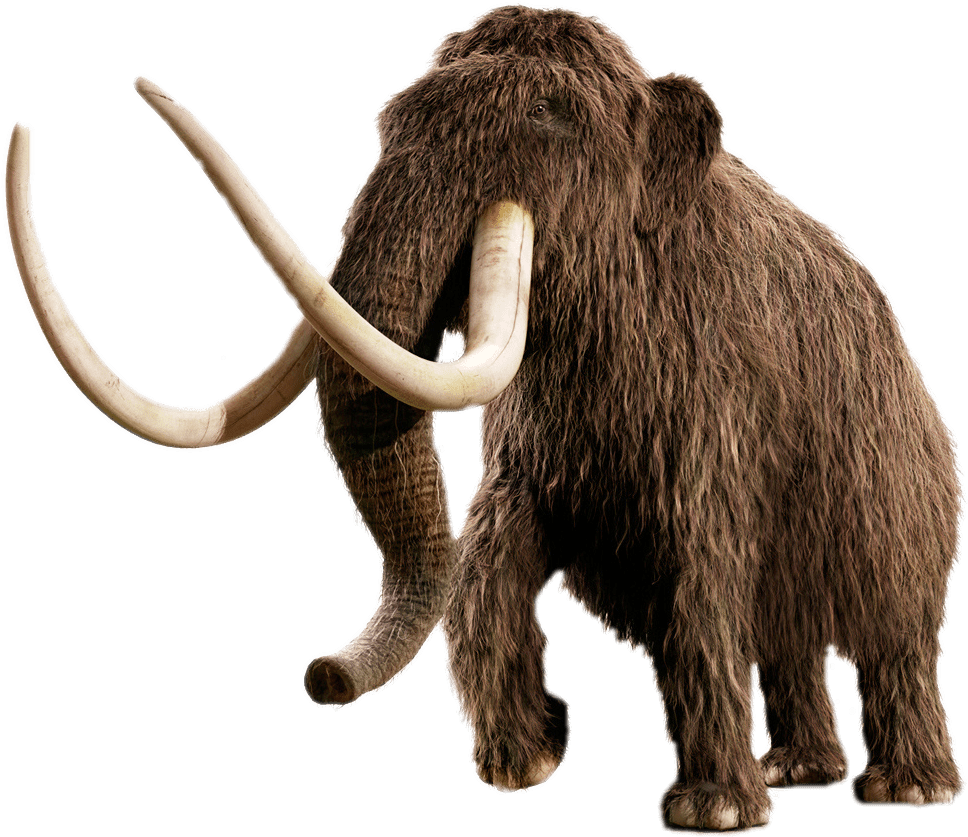 Woolly Mammoth | VS Battles Wiki | Fandom