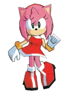 Shuffle Amy