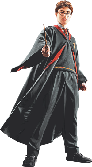 Harry_in_Robe_with_Wand_Front_View_%28Painting%29_-_Harry_Potter_and_the_Half-Blood_Prince_.png