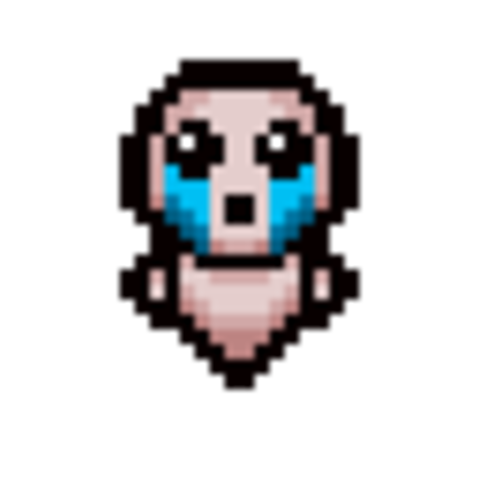 use the private character editor in the binding of isaac rebirth