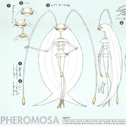 Celesteela, VS Battles Wiki