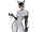 Catwoman (DCAU)