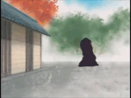 B0f8269603e9.gif (9.3 MB)